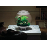 HumidiMist biOrb Air 5 l