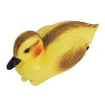 Kachnička