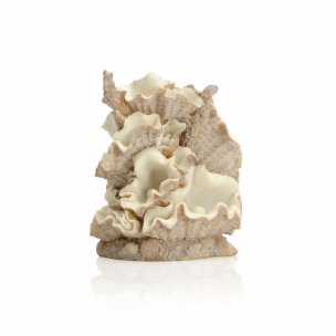 biOrb dekorace Mu&scaron;le mal&eacute;