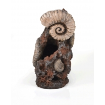 biOrb dekorace trilobit