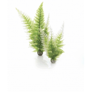 biOrb dekorace Zimní kapradí