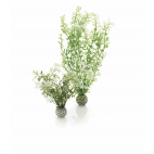 biOrb dekorace Sada zimních rostlin
