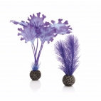 biOrb dekorace Fialové rostliny malé