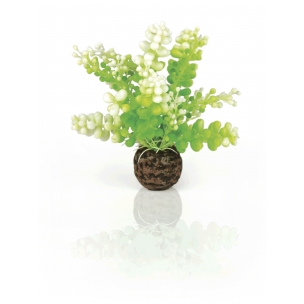 biOrb dekorace Zelen&aacute; řasa