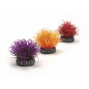 biOrb dekorace Sada barevn&yacute;ch koul&iacute;