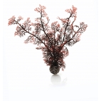 biOrb dekorace Korály červené M