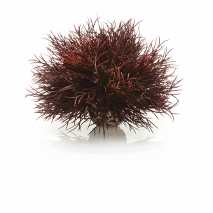 biOrb dekorace Vodn&iacute; tr&aacute;va červen&aacute;