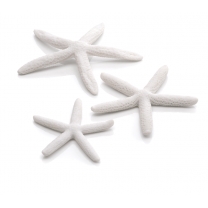 biOrb dekorace Mořské hvězdice bílé