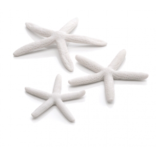 biOrb dekorace Mořsk&eacute; hvězdice b&iacute;l&eacute;