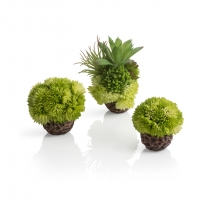 biOrb coral ball set green