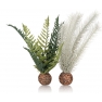 biOrb bodláková kapradina šedá/zelená, malá 