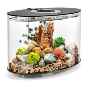 biOrb LOOP 15 MCR čern&eacute;